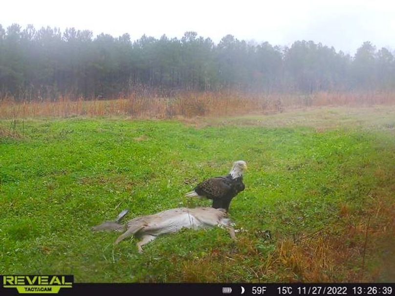 862515041535786-90-5-11272022132638-W1001332