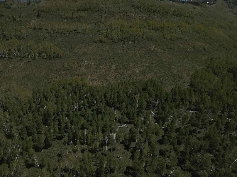 Copy of Photo_1080295617_DJI_193_jpg_4906529_0_202261412536_photo_original.jpg