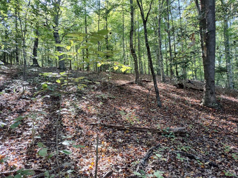 IMG_20231009_152939335_HDR