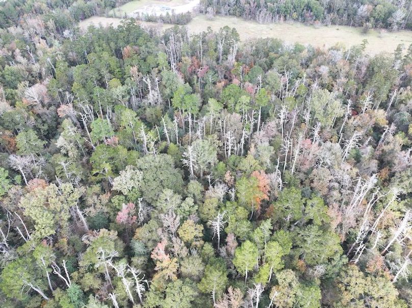 dji_fly_20251118_121514_0732_1763560717831_photo