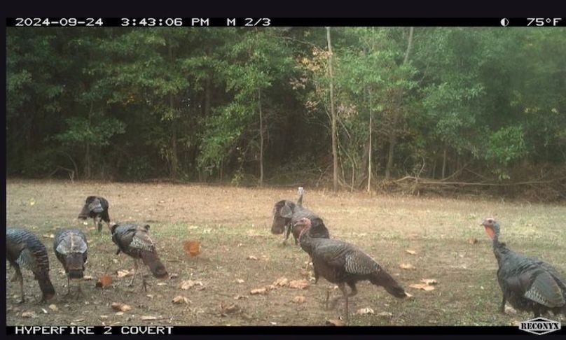 012326AD-5198-4E82-8252-7784F4942442_1_201_a