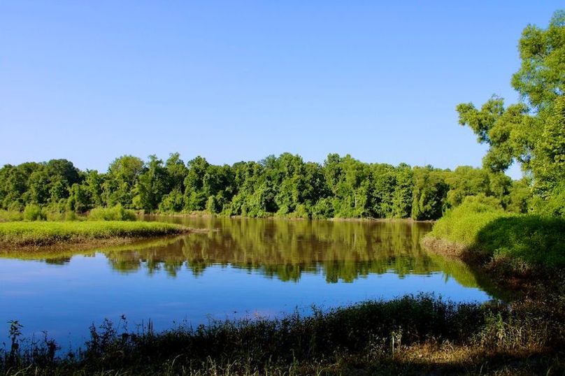 08640BEA-3BDF-4C08-A5CF-8113C82B39B5_1_201_a