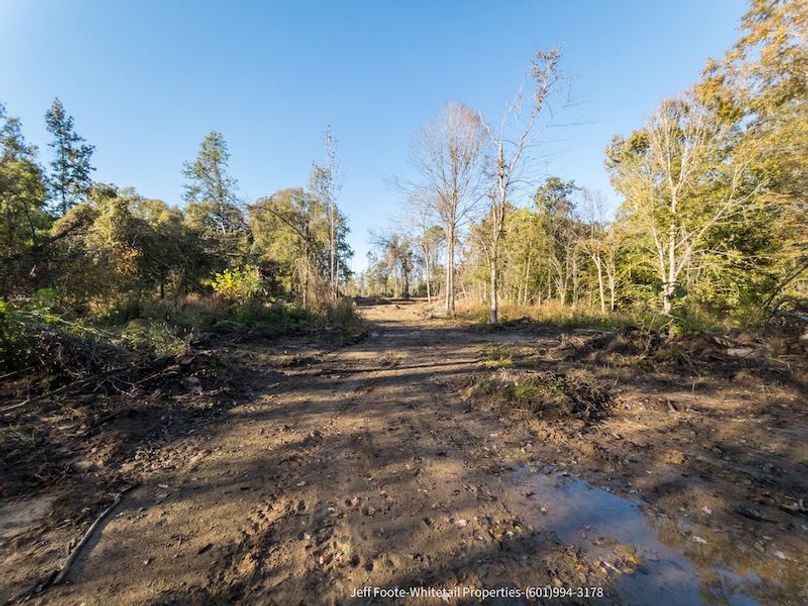 Claiborne Co-189-Geronimo-30