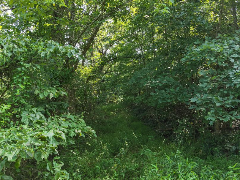 30. Ground (18acres)