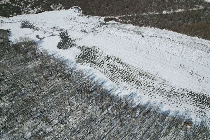 dji_fly_20260311_115338_106_1773248428867_photo (1)