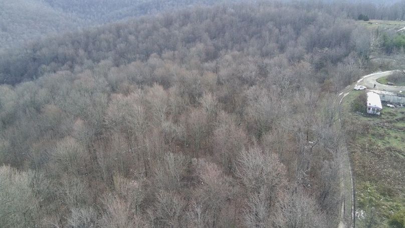 4905673_100DRONE_SING0484