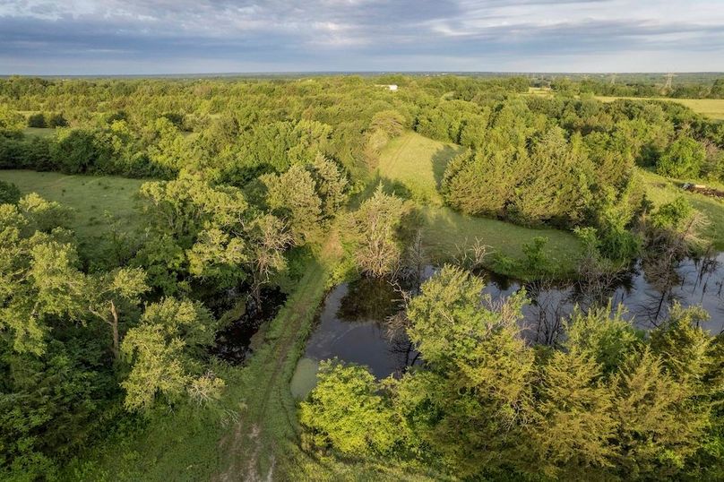 Fannin County- Pecan Ridge (52 of 53)