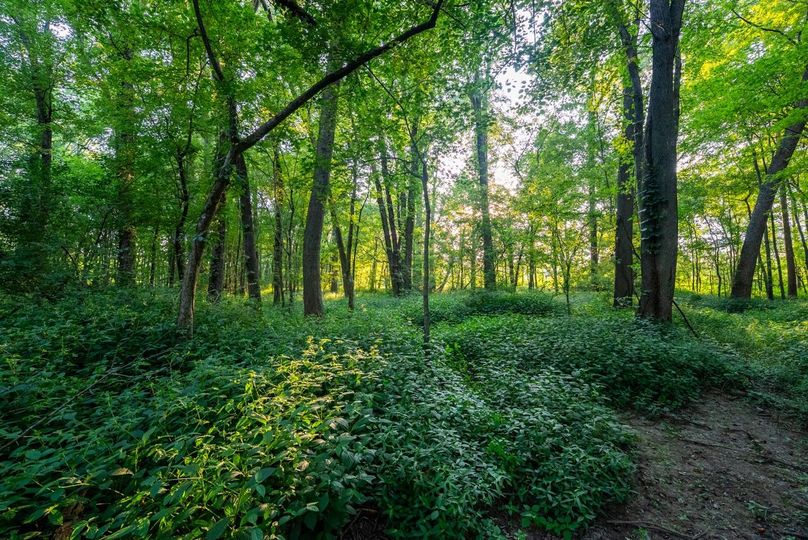 Copy of DSC06240 Large