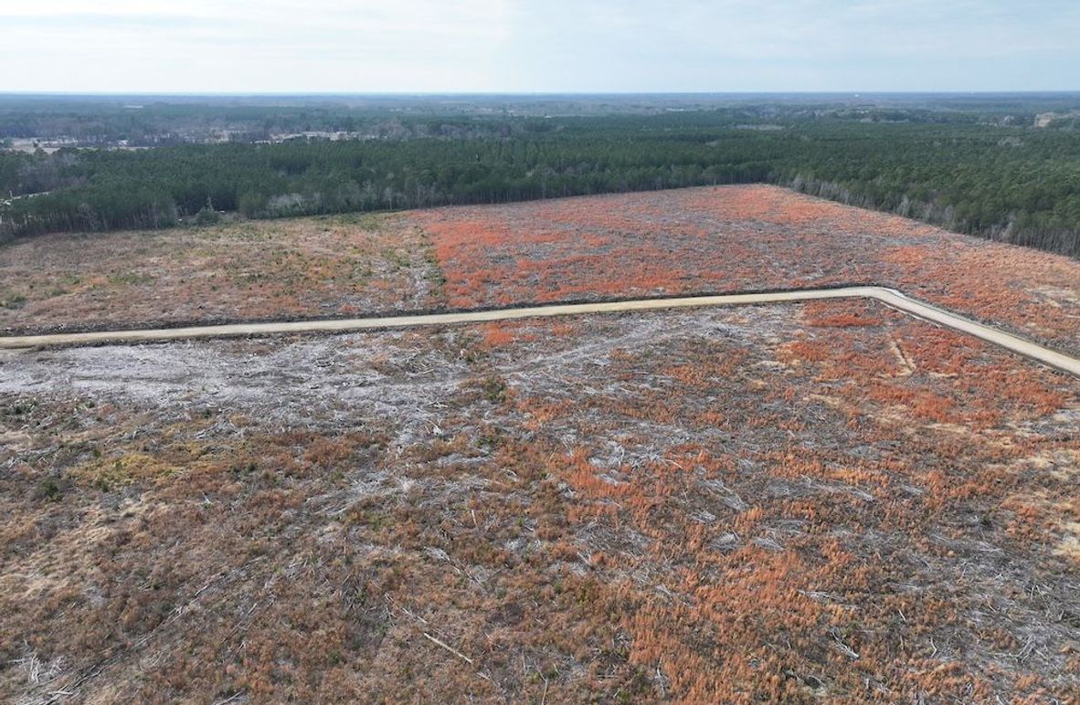 Copy of dji_fly_20251224_150918_0253_1767705631718_photo