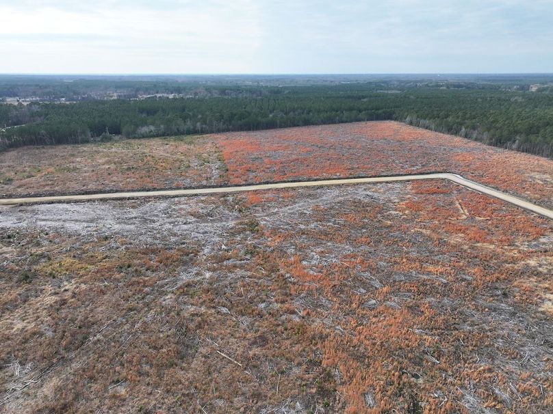 Copy of dji_fly_20251224_150918_0253_1767705631718_photo