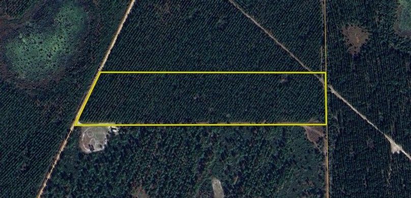 Alachua_10_Kerr