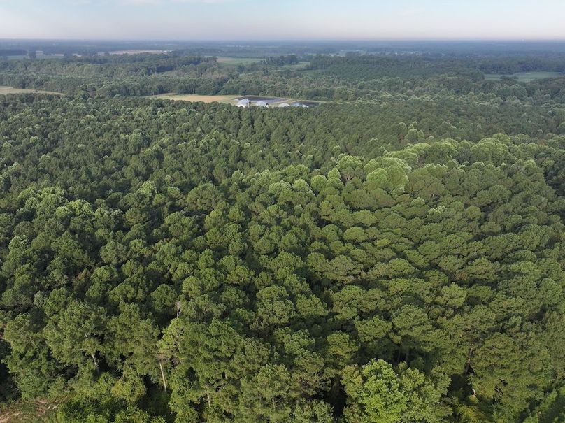 DJI_20250904075107_0016_D