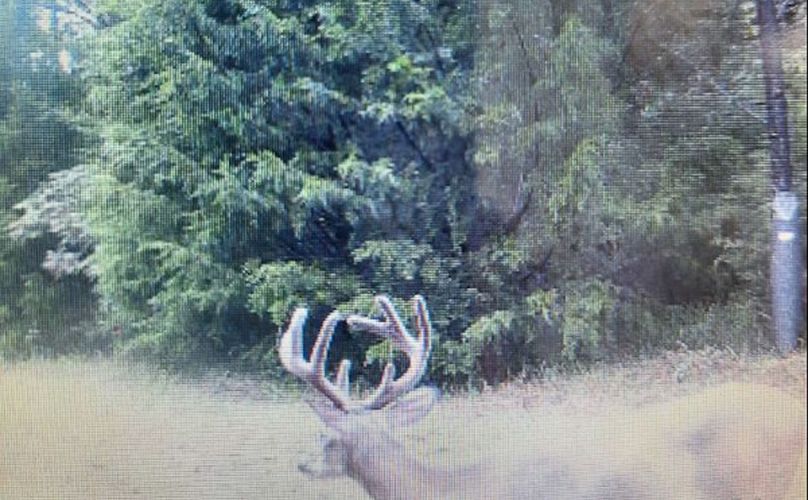 Lee County, MS 92+--27