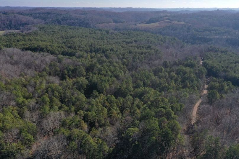 009 aerial drone view looking to the south from the north boundary
