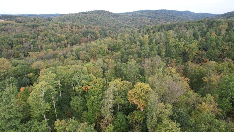 dji_fly_20240919_091936_671_1726752711567_photo