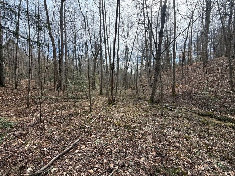 009 the bottom of the valley near the middle of the property