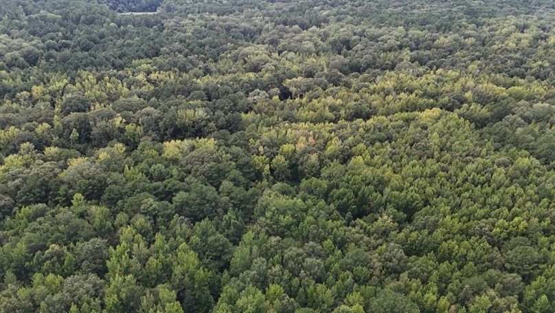 DJI_20250813041729_0622_D