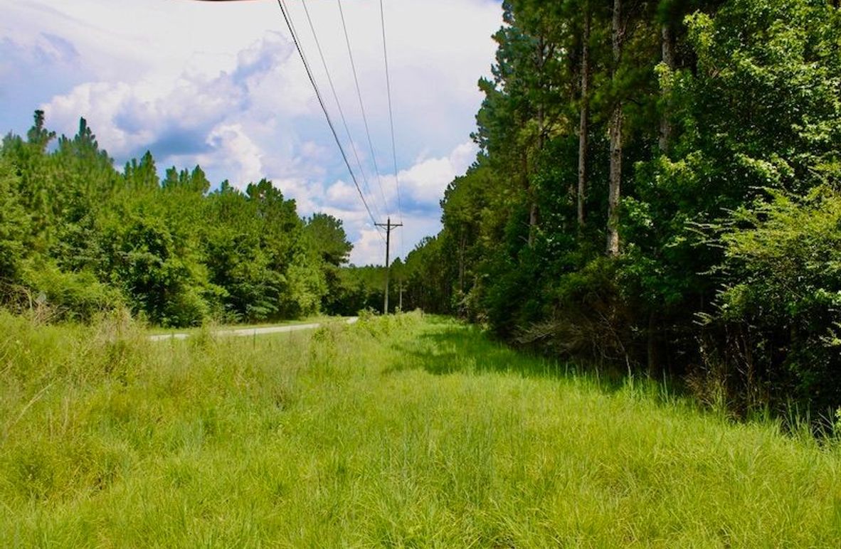 4BBDFC1A-F2C3-468D-8B1B-1F4671F25C33_1_105_c