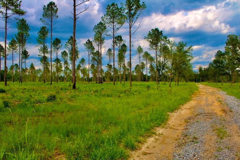 343EF736-0538-4BA4-BCB9-BDED1B7EBEDA_1_105_c