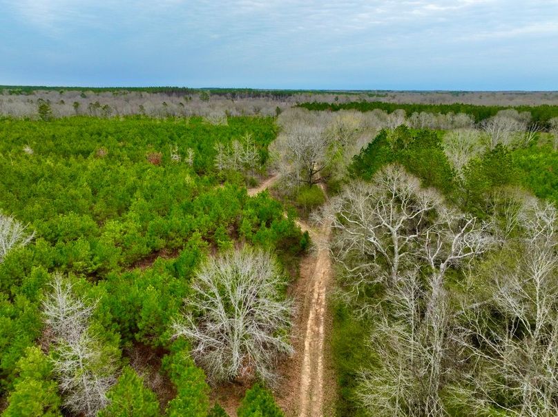 5C4196AB-1296-4516-BAD0-BB14252508DD_1_105_c