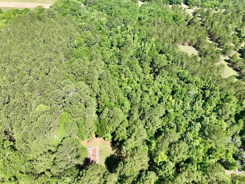 dji_fly_20260514_103232_702_1778769332815_photo