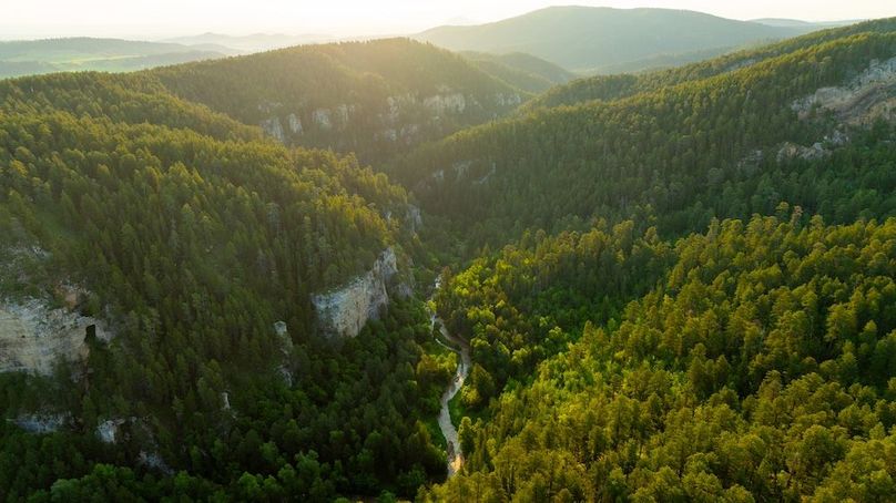 Lawrence SD 50 Featured_ProPhoto-70