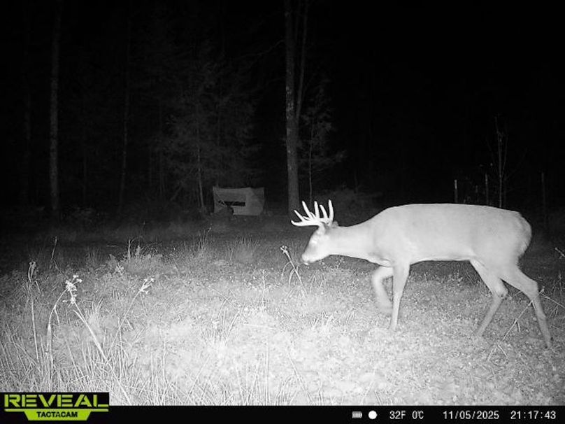 865814048724973-100-3-11052025211742-W1015973