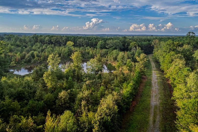 49 DJI_20251007175021_0386_D