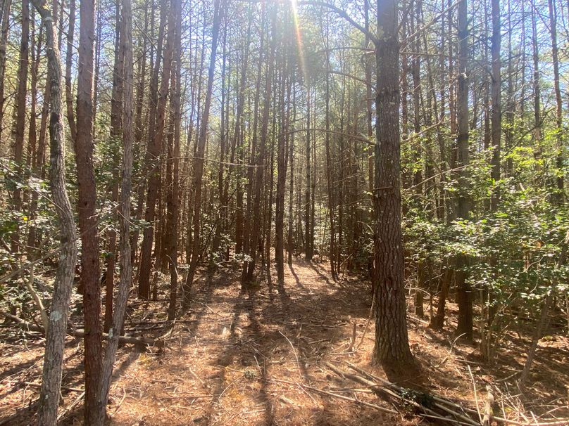 005 Homesite