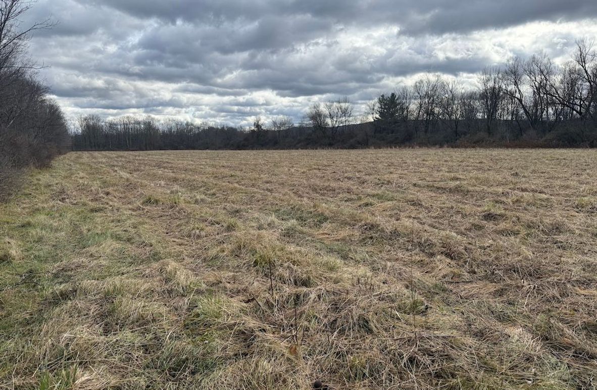 Tompkins_15.15_Galarza Photo 1