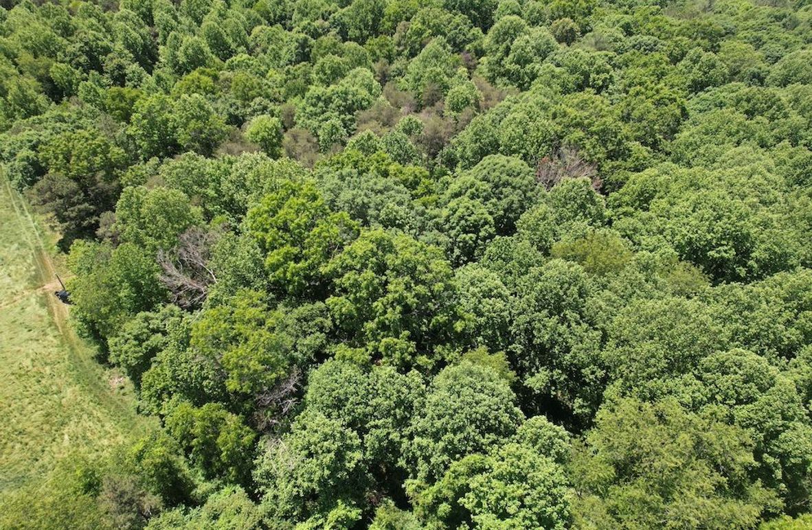 DJI_0015