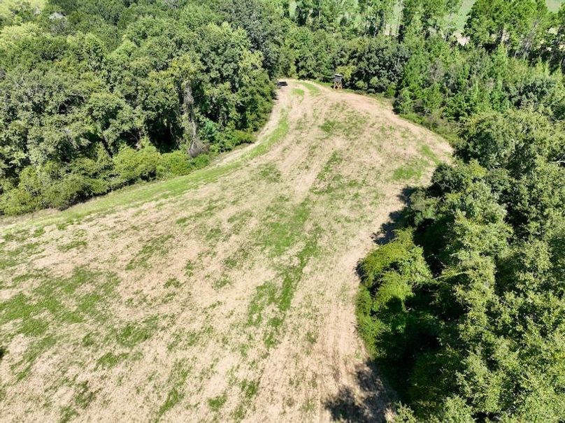 dji_fly_20250903_114528_123_1756914521649_photo