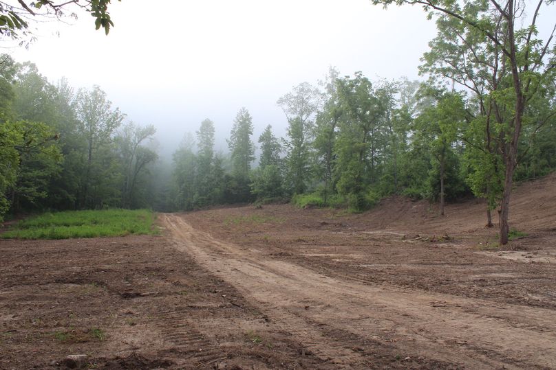 004 open field area near the entrance at the northeast corner