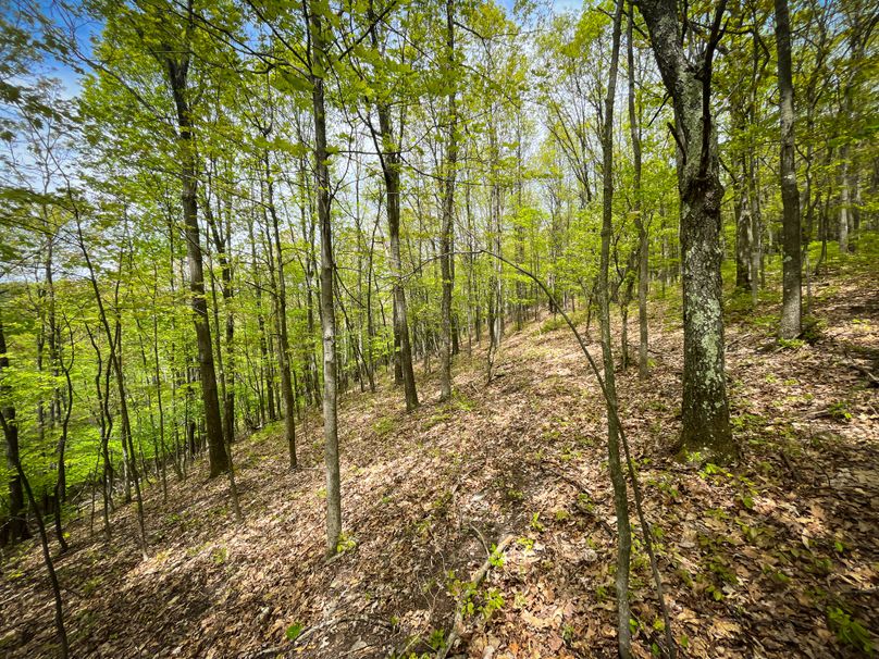 Chemung_44.5_ Briggs _Photos_55
