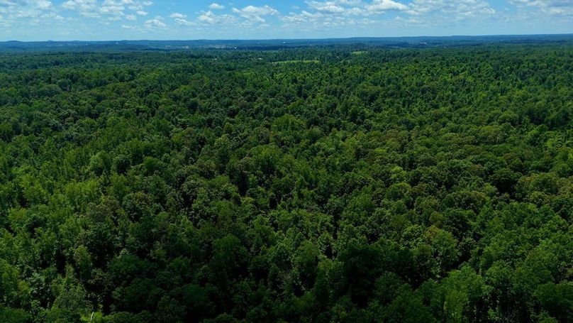 Sequence 10.00_12_14_11.Still034