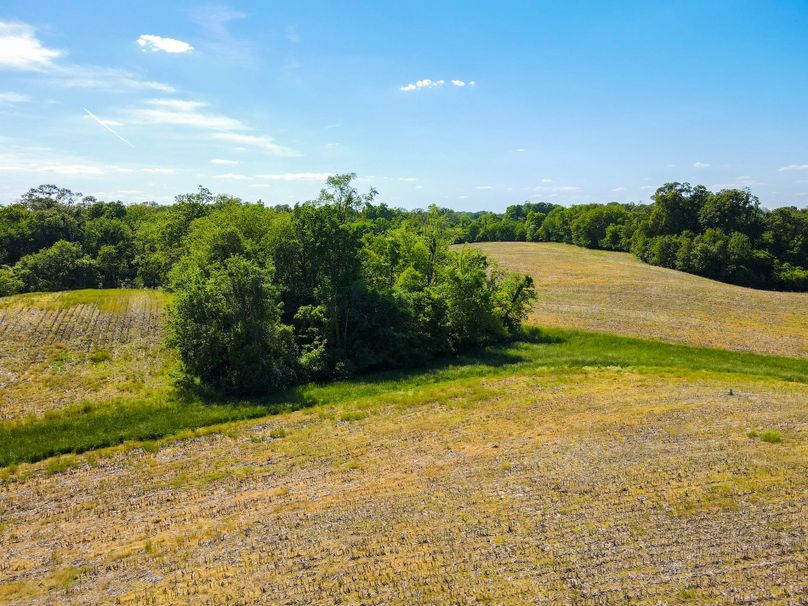 Copy of st clair 25 auction(18)