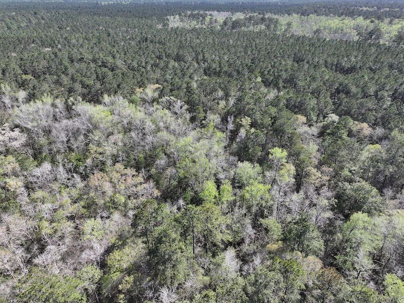 DJI_20260311122507_0512_D