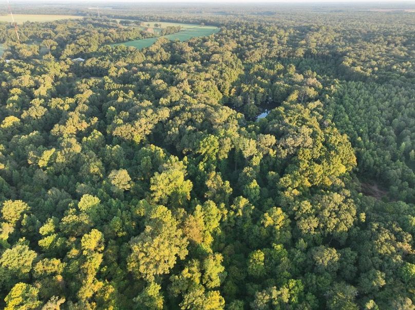 dji_fly_20250909_072512_184_1757426924540_photo