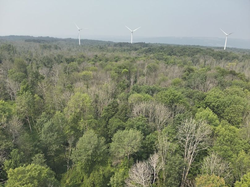 8 DJI_20250804112853_0002_V