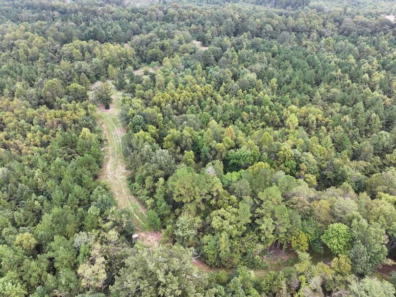 dji_fly_20250924_093018_0531_1758726286194_photo