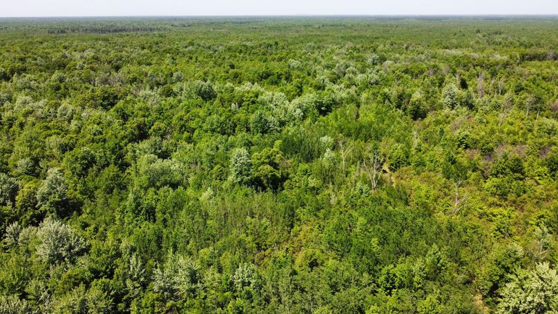 dji_fly_20230530_141808_536_1685474463494_photo_optimized 2