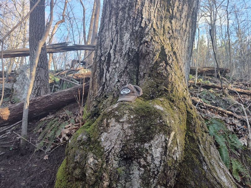 IMG_20240302_165223594_HDR