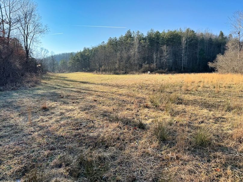 051 beautiful view from looking towards the feeder and elevated blind