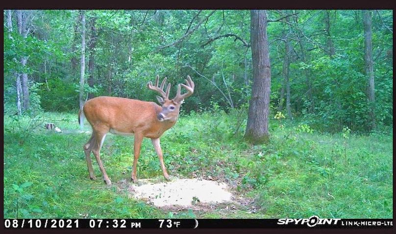 Screenshot 2021-12-11 at 5.33.16 PM