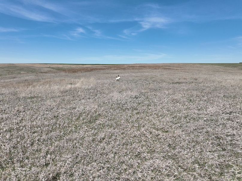 DJI_0357