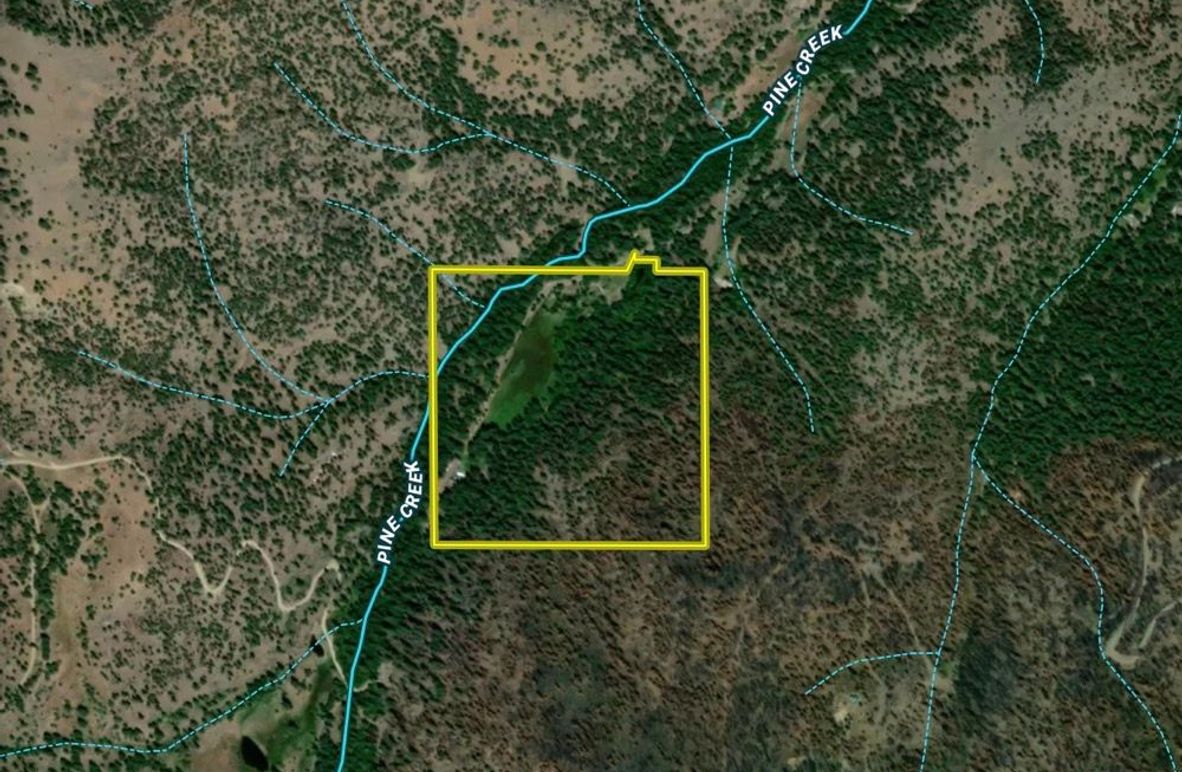 Screenshot 2026-01-21 at 10.38.00 AM