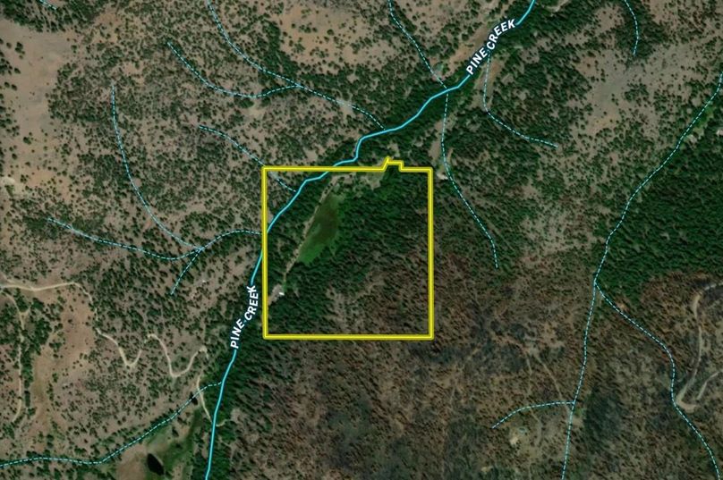 Screenshot 2026-01-21 at 10.38.00 AM