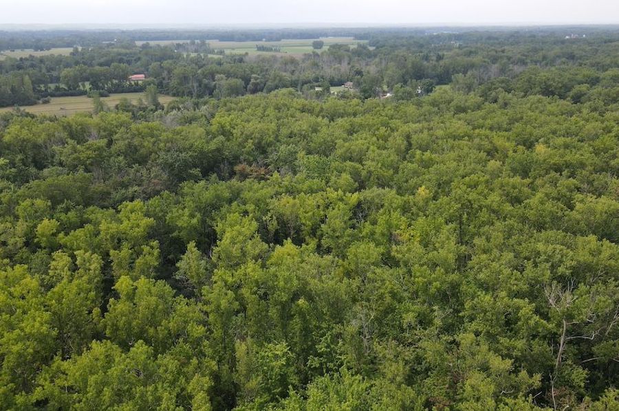 7 dji_fly_20240805_114548_526_1722872790114_photo