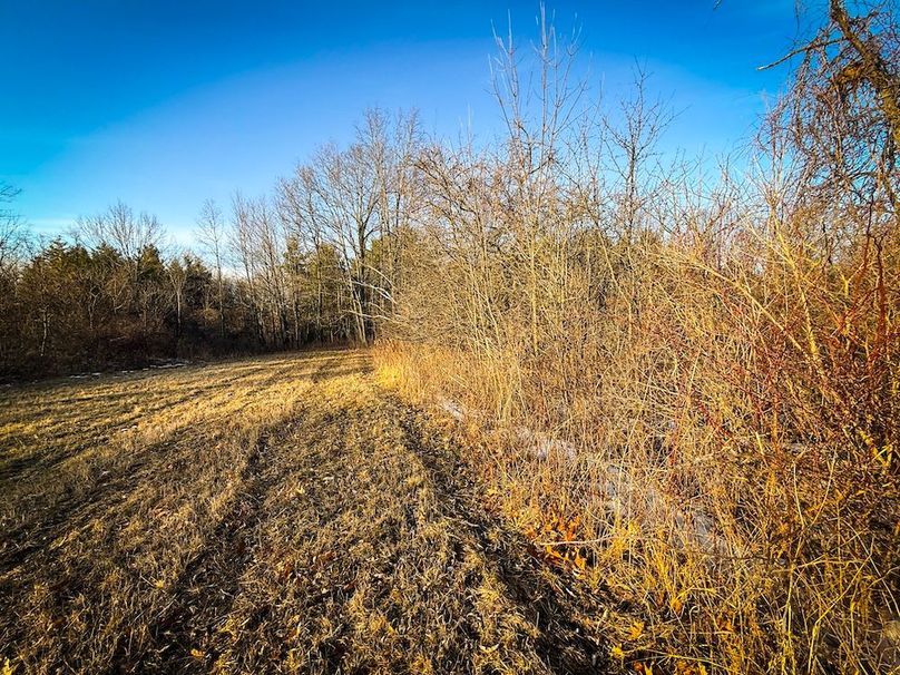 Seneca_24.54_Hohwald_Photos_37