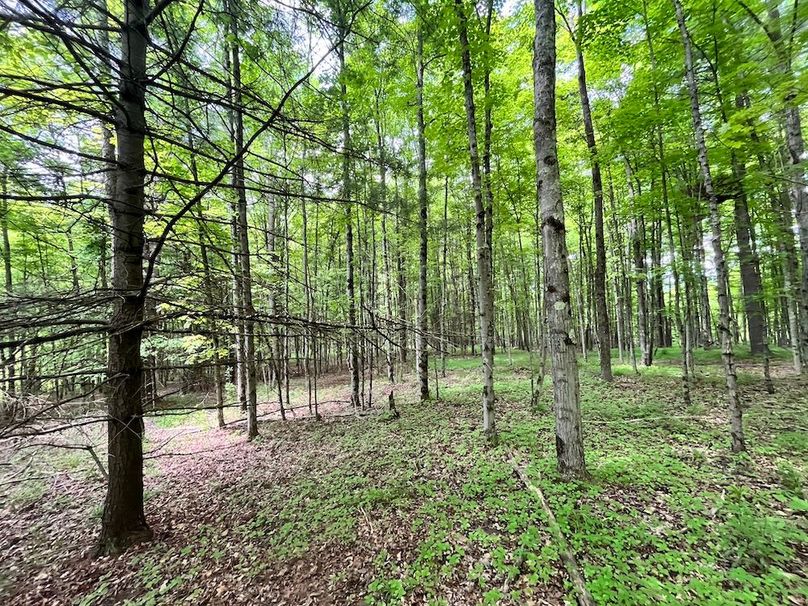 Tioga_78_Biada_Photos_108